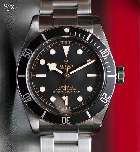 tudor lb1|tudor black bay watch price.